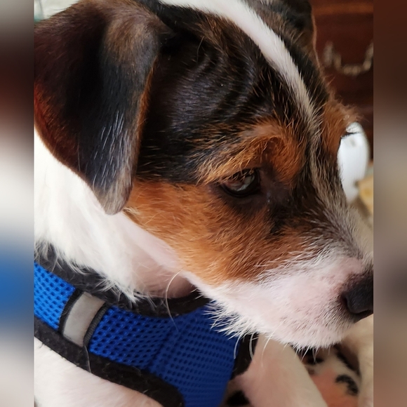 @bethybd LIVE TONIGHT NYE! 6pmEST Feeling Festive  Details⬇️Use➕️/Deals&Givey!🎉 - Picture 9 of 16